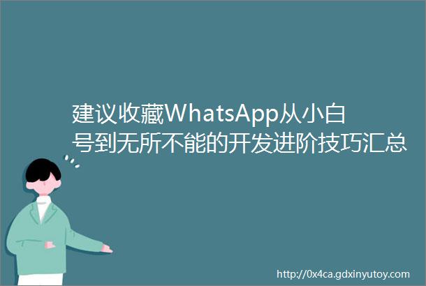 建议收藏WhatsApp从小白号到无所不能的开发进阶技巧汇总